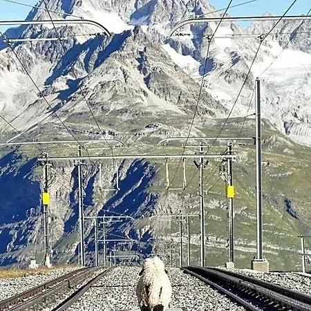 3100 Kulmhotel Gornergrat Hotel 3*